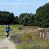 1307G 044 Fehmarn Gruener Brink